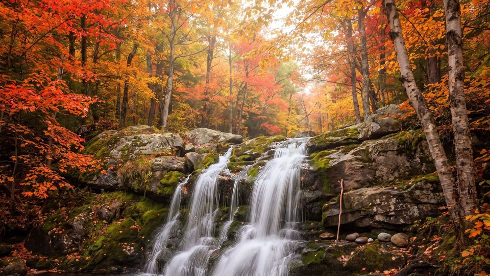 Autumn Waterfall