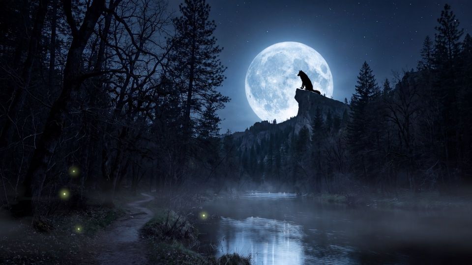 Werewolf's Moon